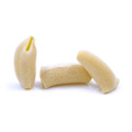 Paccheri | Antico Forno Iuliano